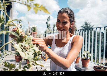 Happy beautiful woman touching leaf of potted plant in balcony on sunny day Stock Photo