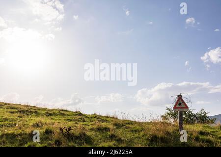 Sun shining over beware of ticks warning sign standing in summer pasture Stock Photo