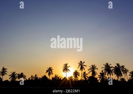 Sun setting behind silhouettes of palm trees Stock Photo