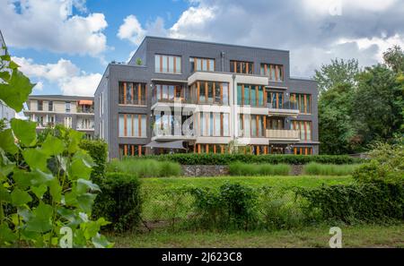 Germany, Berlin, Hedge in front of modern apartment building in new development area Stock Photo