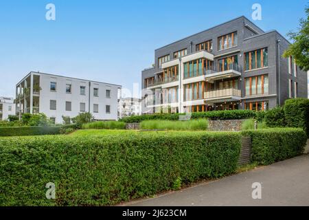 Germany, Berlin, Hedge in front of modern apartment building in new development area Stock Photo