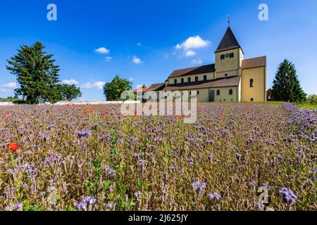 Germany, Baden-Wurttemberg, Reichenau Island, Summer meadow in front of Church of Saint George Stock Photo