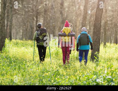 Mature men and women wearing backpacks walking in forest Stock Photo