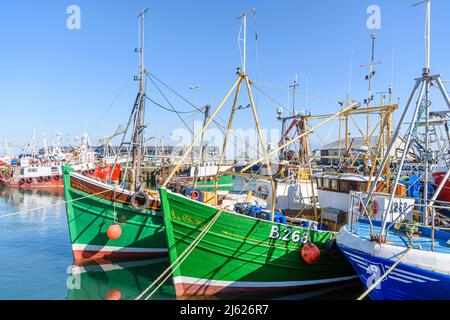 Fishing trawlers moored up in the harbour at Portavogie, County Down, Northern Ireland Stock Photo