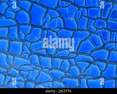 Melon skin texture close up. Abstract blue background. Stock Photo