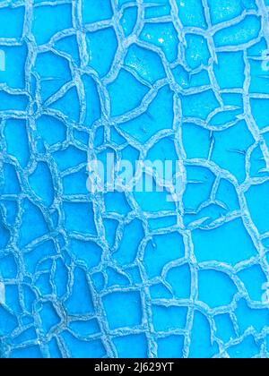 Melon skin texture close up. Summer background. Bright blue background Stock Photo