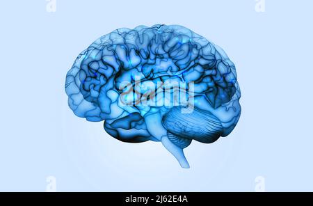 Brainstorm. Human brain 3D illustration. Contrast scan, X-ray, electrical impulse, mind and neural connections. Fresh, clean medical background Stock Photo