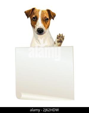 Empty banner with realistic jack russell terrier dog vector illustration. Dog with template isolated on white background. For print, design, T-shirt, Stock Vector