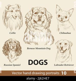 Hand drawing set of a cute dogs breeds part 5. Dogs head isolated on beige background. Pencil hand drawn realistic portrait. Animal collection. Good f Stock Vector