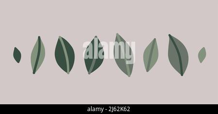 Pastel leaves set Stock Vector