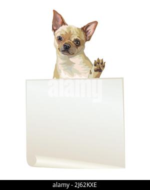 Empty banner with realistic Chihuahua dog vector illustration. Dog with template isolated on white background. For print, design, T-shirt, banner, pos Stock Vector