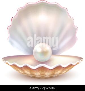 Finest quality beautiful natural open pearl shell close up realistic single valuable object image vector illustration Stock Vector