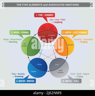 5 Elements Diagram with Organs and associated Emotions, Health, Natural Health and Chinese Medecine, Cycle of Life, 4 Seasons Stock Vector