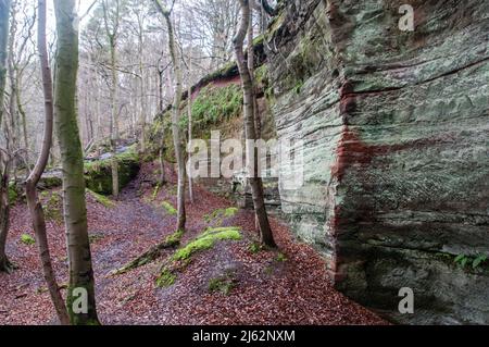 Around the UK - Stone Quarry, Gelt Woods, Cumbria Stock Photo