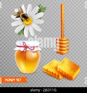Honey realistic set on transparent  background with two pieces of honeycombs wooden dipper stick glass jar of honey and daisy flower with sitting bee Stock Vector