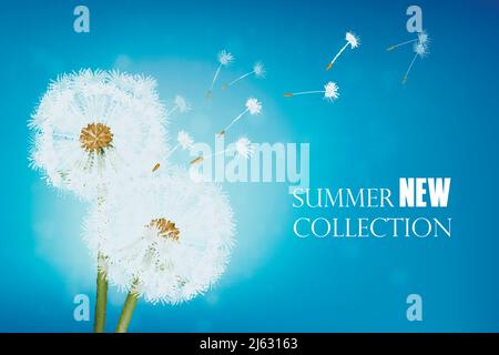 Summer poster with wither dandelion and flying seeds on blue sky background realistic vector illustration Stock Vector