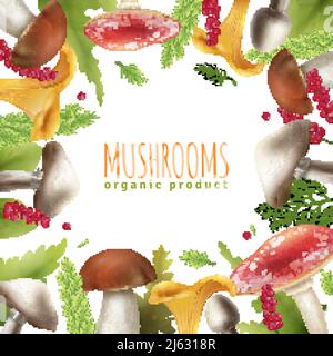 Decorative square frame background poster of wild forest mushrooms edible and poisonous with leaves realistic vector illustration Stock Vector