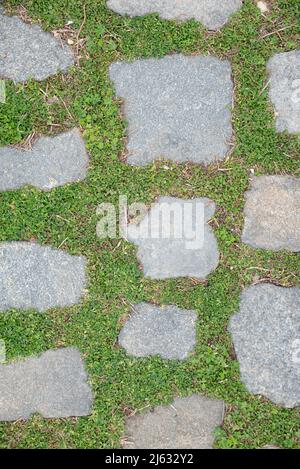 Stone and grass walkway on Long Island north shore, New York Stock Photo
