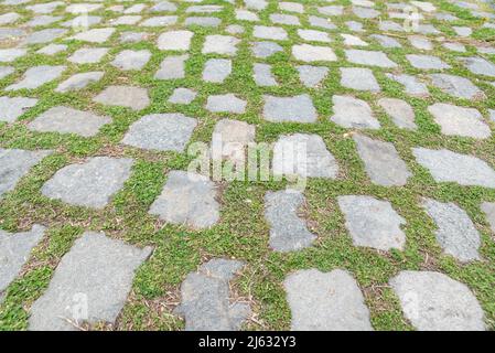 Stone and grass walkway on Long Island north shore, New York Stock Photo