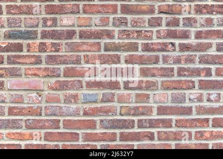 A brick wall in the park on Long Island North shore Stock Photo