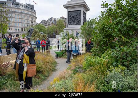 Trafalgar Square, London, UK. 27 April 2022. Trafalgar Square is rewilded for the day with grass, plants and trees as part of part of innocent’s Big Rewild Campaign. Credit: Malcolm Park/Alamy Live News Stock Photo