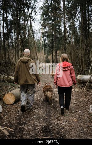 Middle aged man and woman walk in park with two Australian Shepherds. Walking with dogs on forest road rear view. Couple is enjoying a trip in conifer Stock Photo