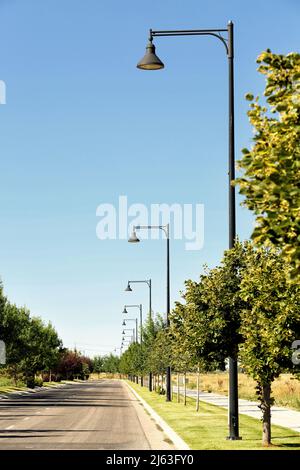 A tree lined street with black vintage style lamp posts in a row, receeding into the distance. Stock Photo