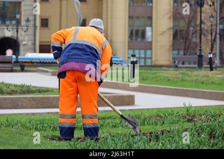 Worker of the municipal service plants flowers on a lawn. Woman gardener with shovel loosens the soil, improvement of the city park in spring Stock Photo