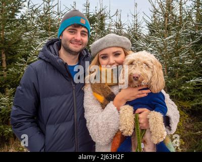 Young caucasian man and woman, holding a dog, standing in front of snow covered Christmas trees at a North Yorkshire Christmas tree farm. UK. Stock Photo