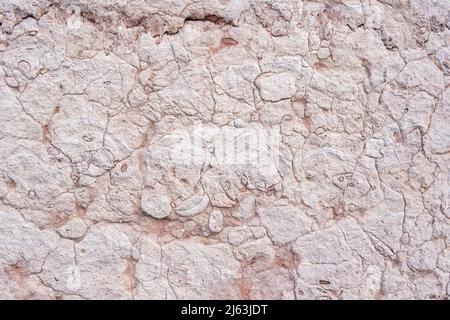 Pink Wall Texture Background. Abstract Painted Wall Surface. Copy Space For design Stock Photo