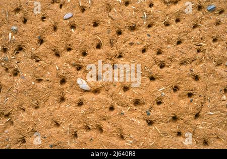 Clay wall texture background Stock Photo