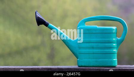 Dirty garden watering can close-up on a background of blurred natural greenery. Stock Photo