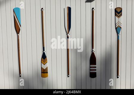 four colourful wooden paddles hangs on a white wall. canoe oars for active water sport. holiday vacation. High quality photo. Stock Photo