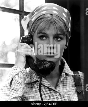 JULIE CHRISTIE, DARLING, 1965 Stock Photo