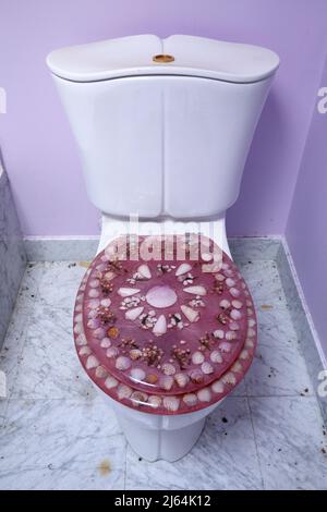 A resin sea shel toilet seat attached to a toilet inside an abandoned house. Stock Photo