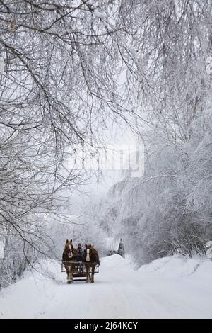 Horse drawn sleigh on a snow covered country road in winter, Eastern Townships, Quebec, Canada. Stock Photo