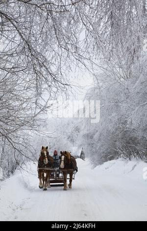 Horse drawn sleigh on a snow covered country road in winter, Eastern Townships, Quebec, Canada. Stock Photo