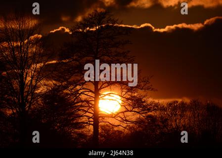 Beautyful dramatic sunset with trees in the foreground Stock Photo