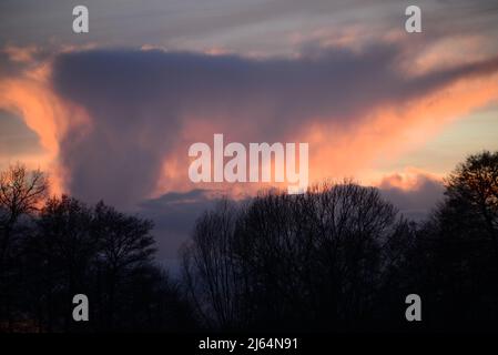 Beautyful dramatic sunset with trees in the foreground Stock Photo