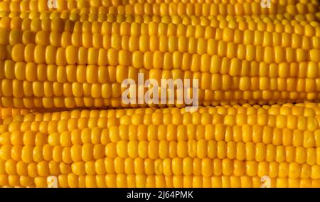 The texture of the yellow kernels of boiled corn. Close-up, copy space. Stock Photo