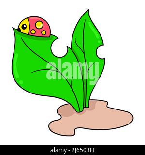 ladybug is on a fresh plant leaf Stock Vector