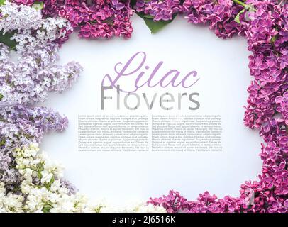 Frame made of blossoming lilac on white background with space for text Stock Photo