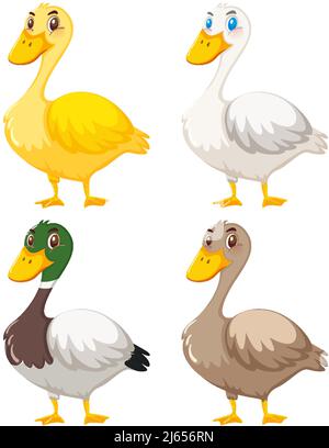 Set of cute duck cartoon illustration Stock Vector