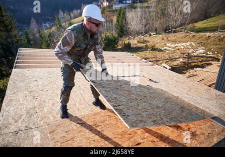 Carpenter mounting wooden OSB panel on rooftop of future cottage. Man worker building wooden frame house. Carpentry and construction concept. Stock Photo