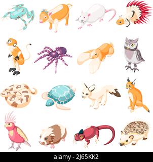 Exotic pets isometric icons set of rabbit turtle parrot lynx rat frog spider monkey hedgehog lizard snake owl cartoon characters vector illustration Stock Vector