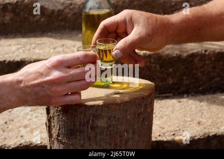 Mans hands toasting with traditional Serbian drink plum brandy rakija slivovitz outdoor on retro wooden log in the countryside Stock Photo