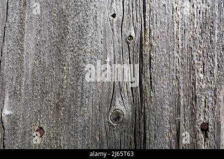 An old wooden plank with cracks and nails. Gray textured surface for design or text Stock Photo