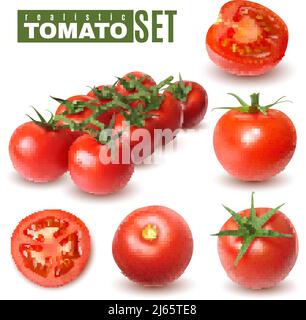 Realistic tomato set of isolated images with single tomato fruits and groups with shadows and text vector illustration Stock Vector