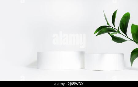 Cylindrical podium on a white background with hard shadows and leaves. Minimal empty scene of cosmetic products presentation. Geometric podium. Stock Photo
