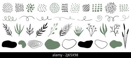 Hand drawn plants, organic shapes, dots, lines. Vector set of minimal trendy abstract natural elements for graphic design Stock Vector